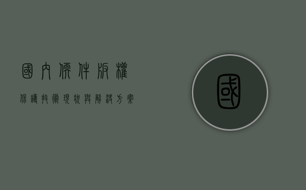 国内软件版权保护技术现状与解决方案（软件版权问题）