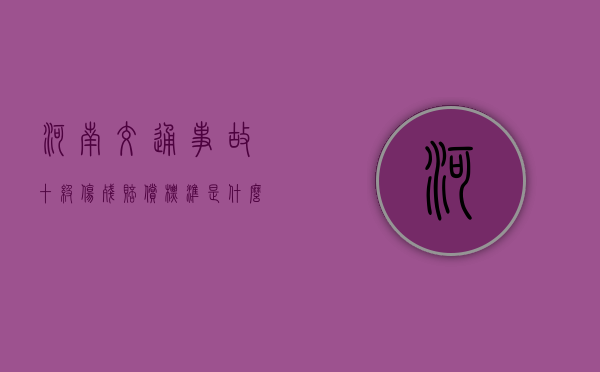 河南交通事故十级伤残赔偿标准是什么（河南省工伤十级伤残能赔几万）