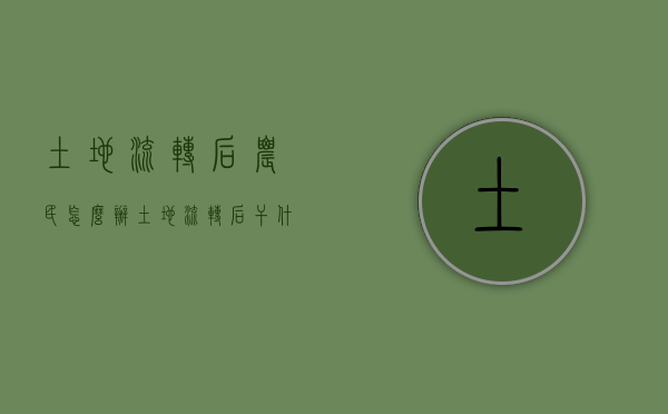 土地流转后农民怎么办（土地流转后干什么）