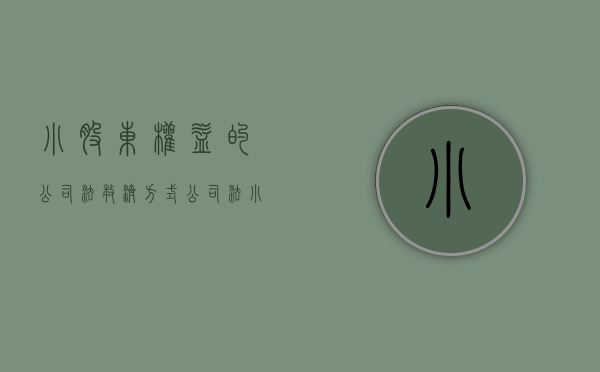 小股东权益的公司法救济方式（公司法小股东权益救济诉讼途径）