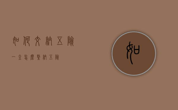 如何交纳五险一金（怎么缴纳五险）