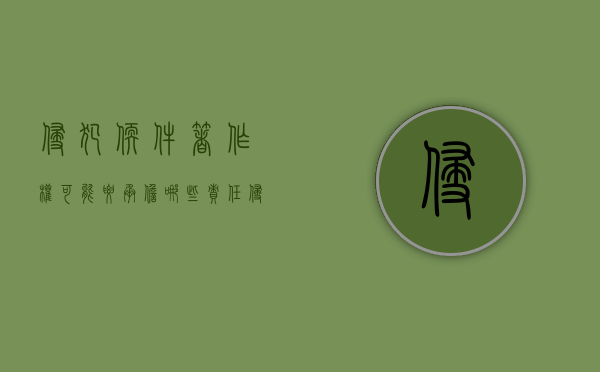 侵犯软件著作权可能要承担哪些责任（侵犯软著 判刑）