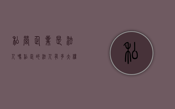 私营企业是法人吗（私企的法人有多大权力）