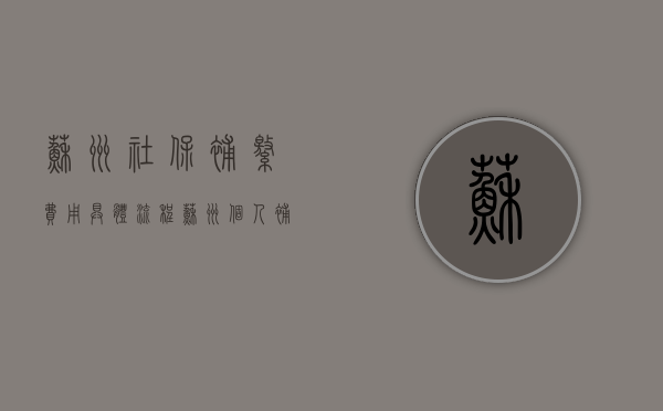苏州社保补缴费用具体流程？（苏州个人补缴社保怎么补）