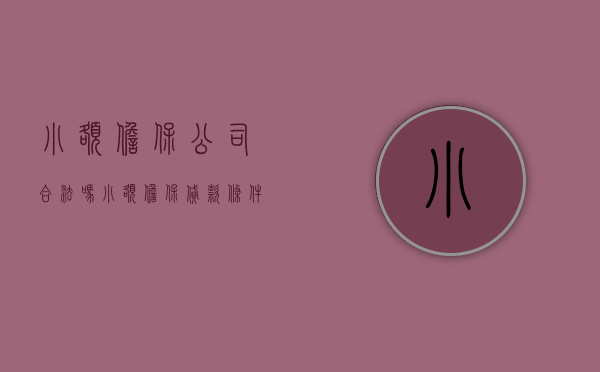 小额担保公司合法吗（小额担保贷款条件）