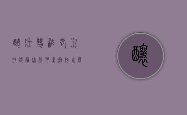 酿壮阳酒老虎被饿死,捕杀野生动物怎么量刑（老虎药酒什么功效）