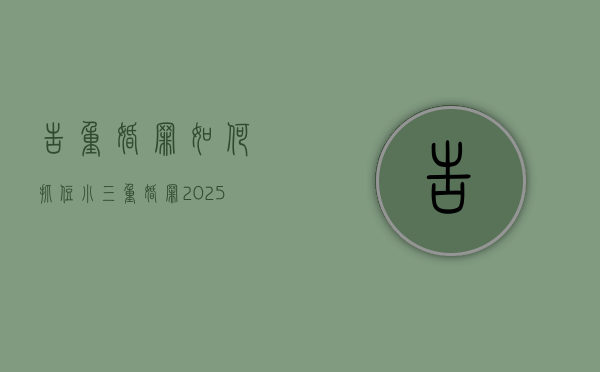 告重婚罪如何抓住小三（重婚罪2025新规定）