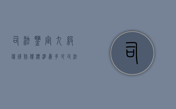 司法鉴定九级伤残赔偿标准为多少？（司法鉴定伤残九级民事赔偿标准）