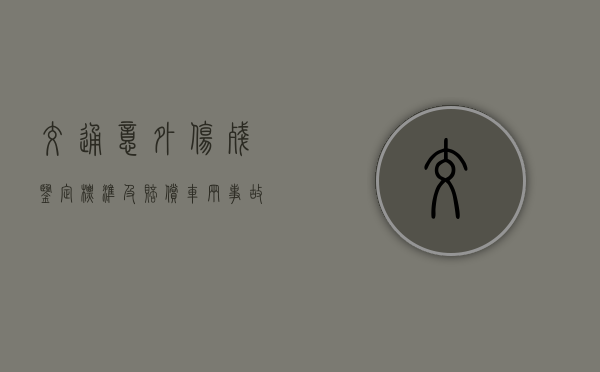 交通意外伤残鉴定标准及赔偿（车辆事故损失鉴定费谁出）