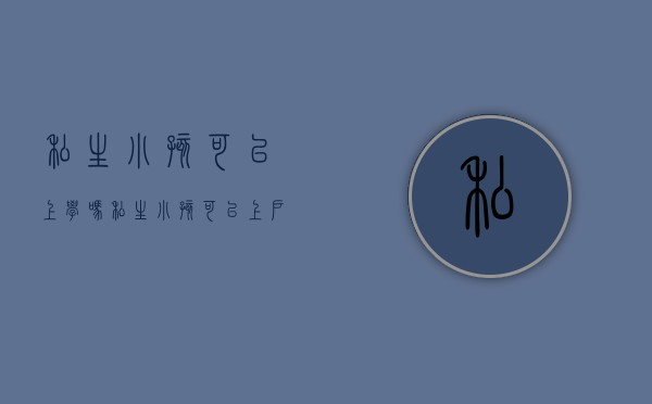 私生小孩可以上学吗（私生小孩可以上户口吗）