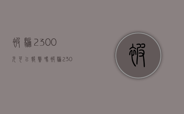 被骗2300元可以报警吗?（被骗2300块钱可以立案吗）
