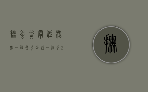 抚养费最低标准一般是多少钱一个月（2022社会抚育费标准是什么）