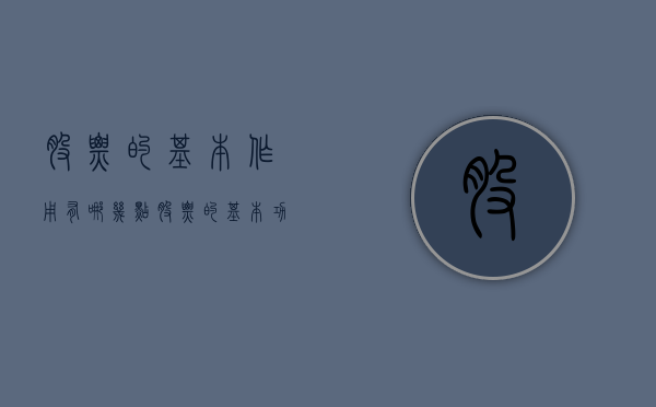 股票的基本作用有哪几点（股票的基本功能包括什么）