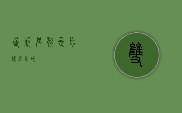 双规具体是怎样适用的
