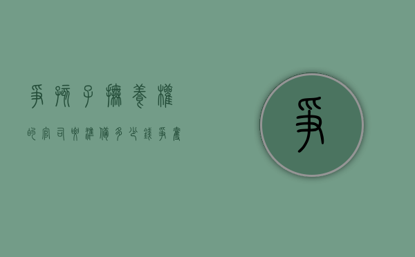 争孩子抚养权的官司要准备多少钱（争夺孩子抚养权律师）