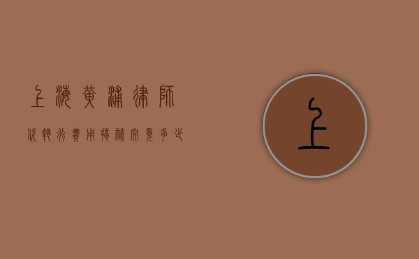 上海黄浦律师代执行费用揭秘，究竟多少钱？
