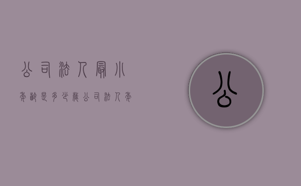 公司法人最小年龄是多少岁（公司法人年龄不能超过多少岁）