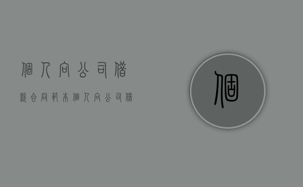 个人向公司借款合同范本（个人向公司借款怎样写）