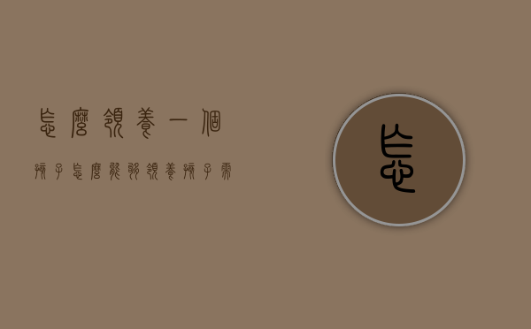 怎么领养一个孩子（怎么能够领养孩子需要什么条件）