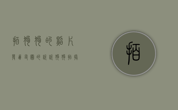 拍狗狗的照片发朋友圈的说说（狗狗拍摄技巧）