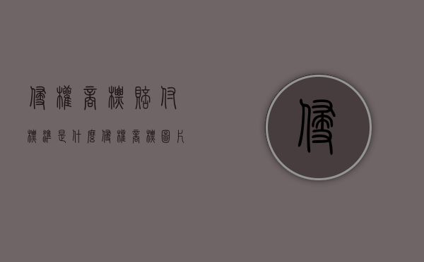 侵权商标赔付标准是什么？（侵权商标图片）