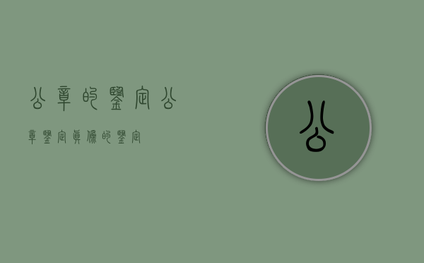 公章的鉴定（公章鉴定真伪的鉴定）