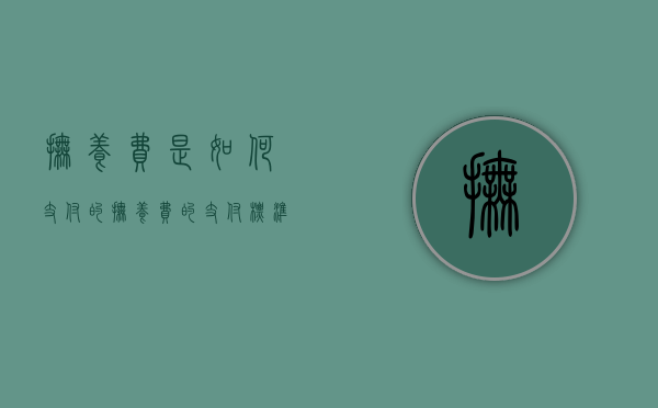 抚养费是如何支付的（抚养费的支付标准和支付方式）