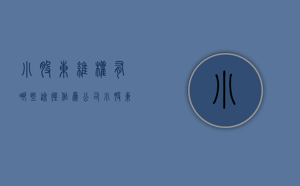 小股东维权有哪些途径（作为公司小股东应该怎么做）