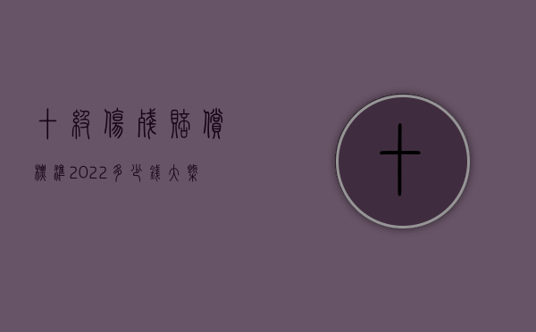 十级伤残赔偿标准2022多少钱大概是多少？（十级伤残赔偿标准大概是多少）