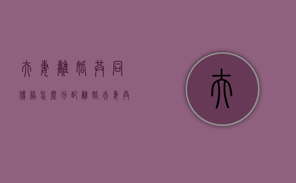 夫妻离婚共同债务怎么分配（离婚夫妻共同债务怎么分配）