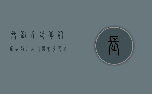 长治青少年犯罪律师打官司需要多少钱（青少年犯罪庭审视频）