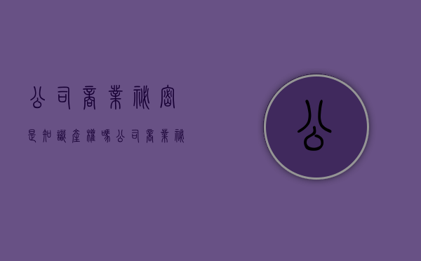 公司商业秘密是知识产权吗（公司商业秘密制度中有哪些条款）