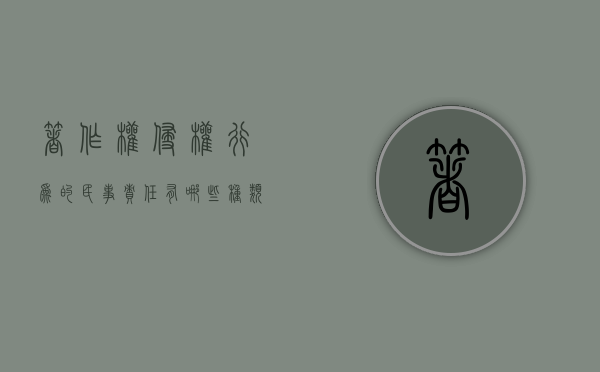 著作权侵权行为的民事责任有哪些种类（著作权侵权行为的民事责任主要包括哪些内容）