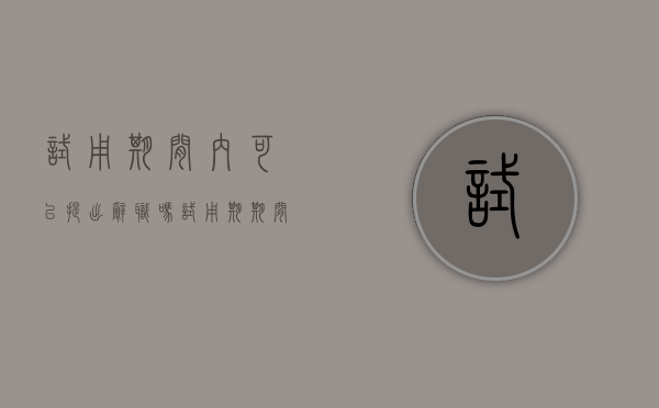 试用期间内可以提出辞职吗?（试用期期间可以直接离职吗）