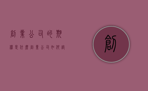 创业公司的期权是什么（创业公司如何设立期权）