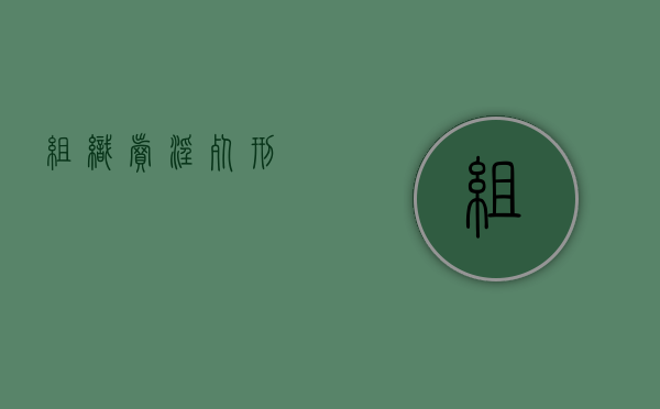 组织卖淫死刑