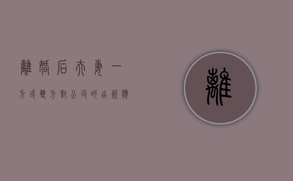 离婚后夫妻一方或双方对公司的出资应怎么分割（夫妻离婚后公司财产怎么分割）