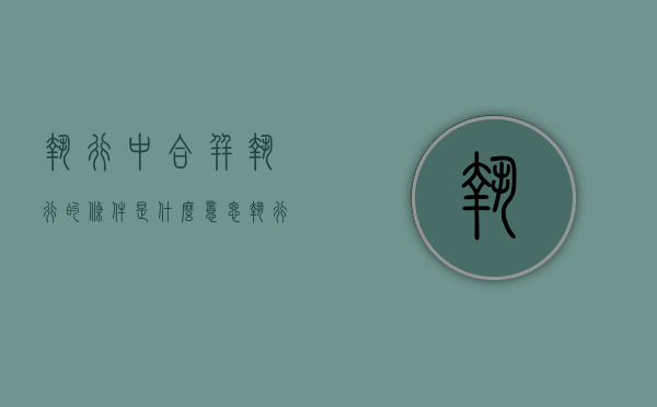 执行中合并执行的条件是什么意思（执行中合并执行的条件是什么呢）