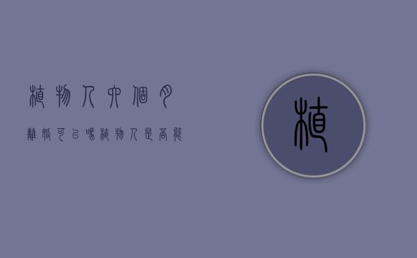 植物人六个月离婚可以吗？（植物人是否能提起离婚诉讼）