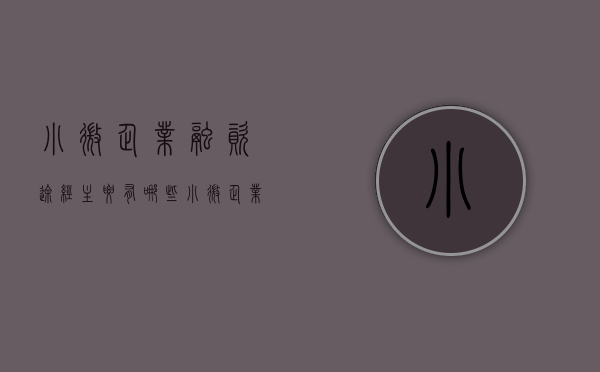 小微企业融资途经主要有哪些？（小微企业比较常见的两种融资方式）