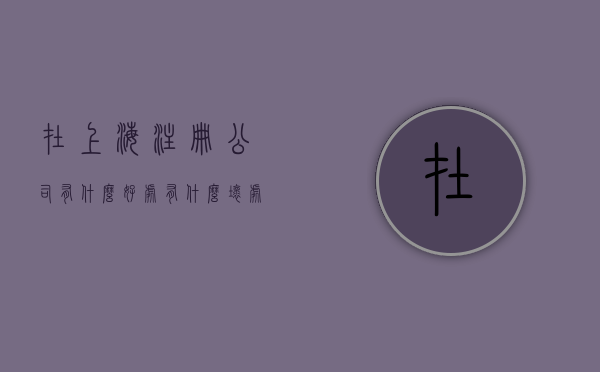 在上海注册公司有什么好处有什么坏处（上海注册公司需要具备什么条件）