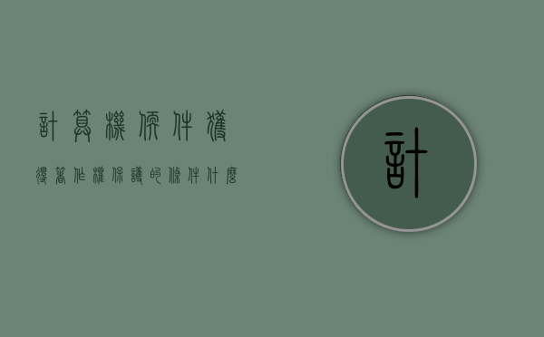 计算机软件获得著作权保护的条件是什么（计算机软件获得著作权保护的条件是什么意思）