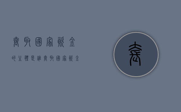 套取国家资金的主体是谁？（套取国家资金的定义）