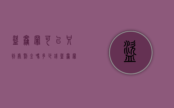 盗窃罪可以只判处罚金吗多少钱（盗窃罪可以只罚款吗）