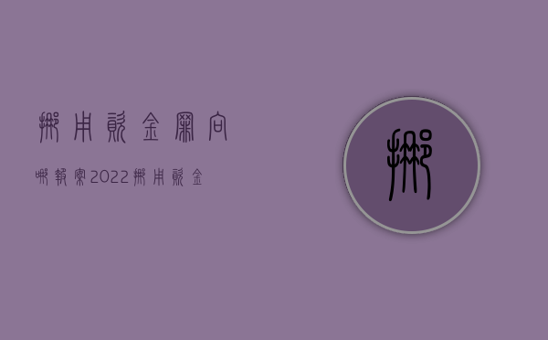 挪用资金罪向哪报案2022（挪用资金罪办案流程）
