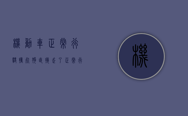 机动车正常行驶撞死狗,直接走了（正常行车中,撞死了狗）