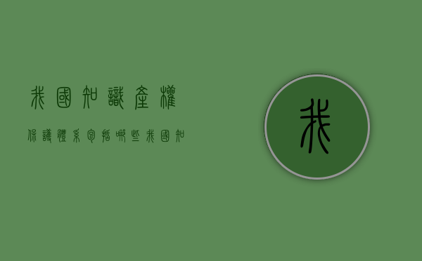 我国知识产权保护体系包括哪些（我国知识产权保护体系包括什么）