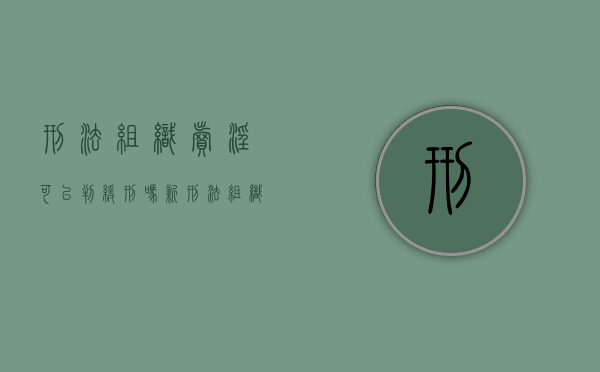 刑法组织卖淫可以判缓刑吗（新刑法组织卖婬罪定罪标准）