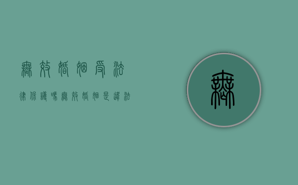 无效婚姻受法律保护吗（无效婚姻是违法婚姻吗）