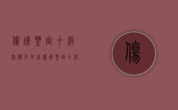 伤残鉴定十级赔偿多少钱（伤残鉴定十级赔偿多少）